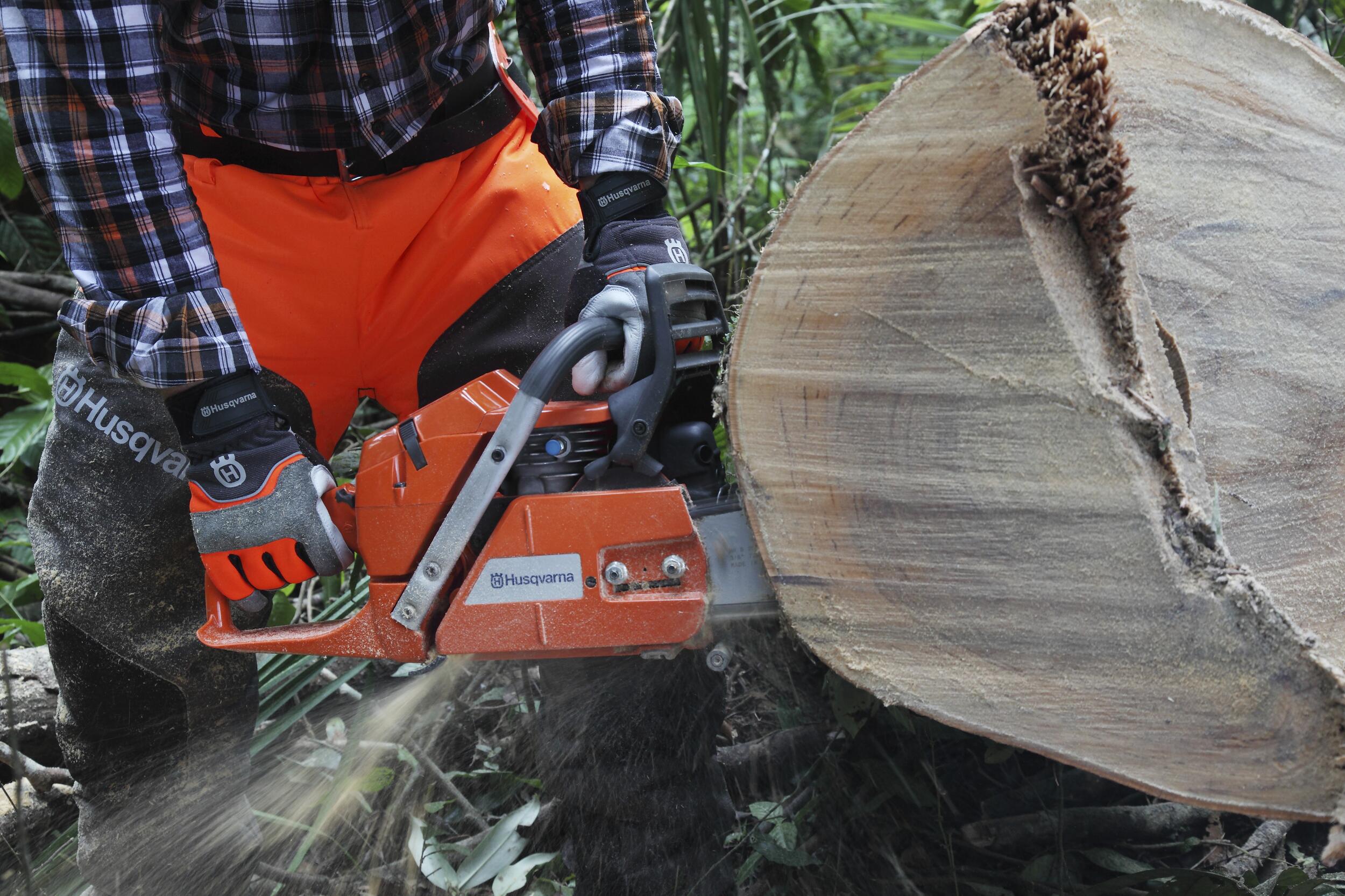 Husqvarna 365 X-Torq