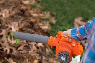 Jucărie Refulator de frunze