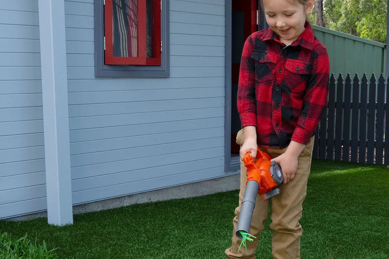 Jucărie Refulator de frunze