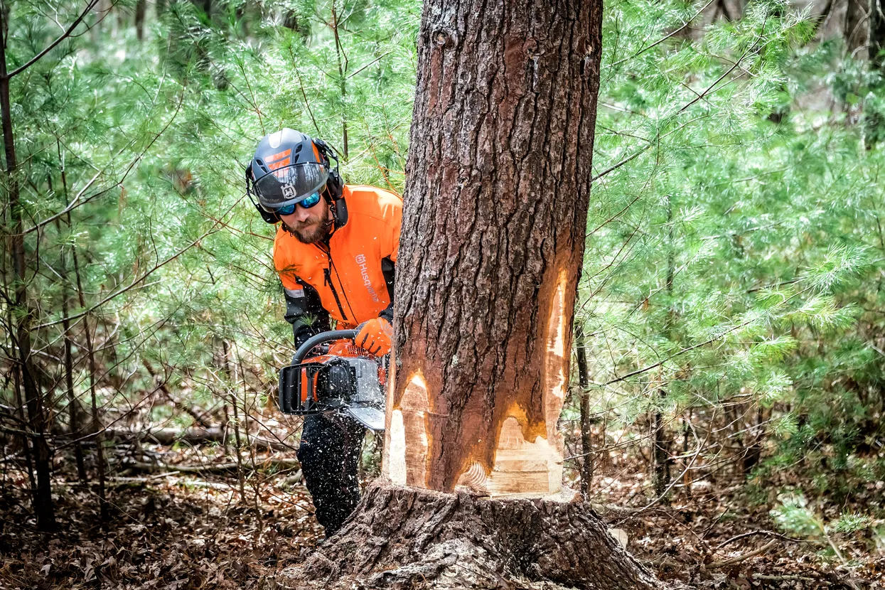Rolă lanț (100 ft) X-CUT C85