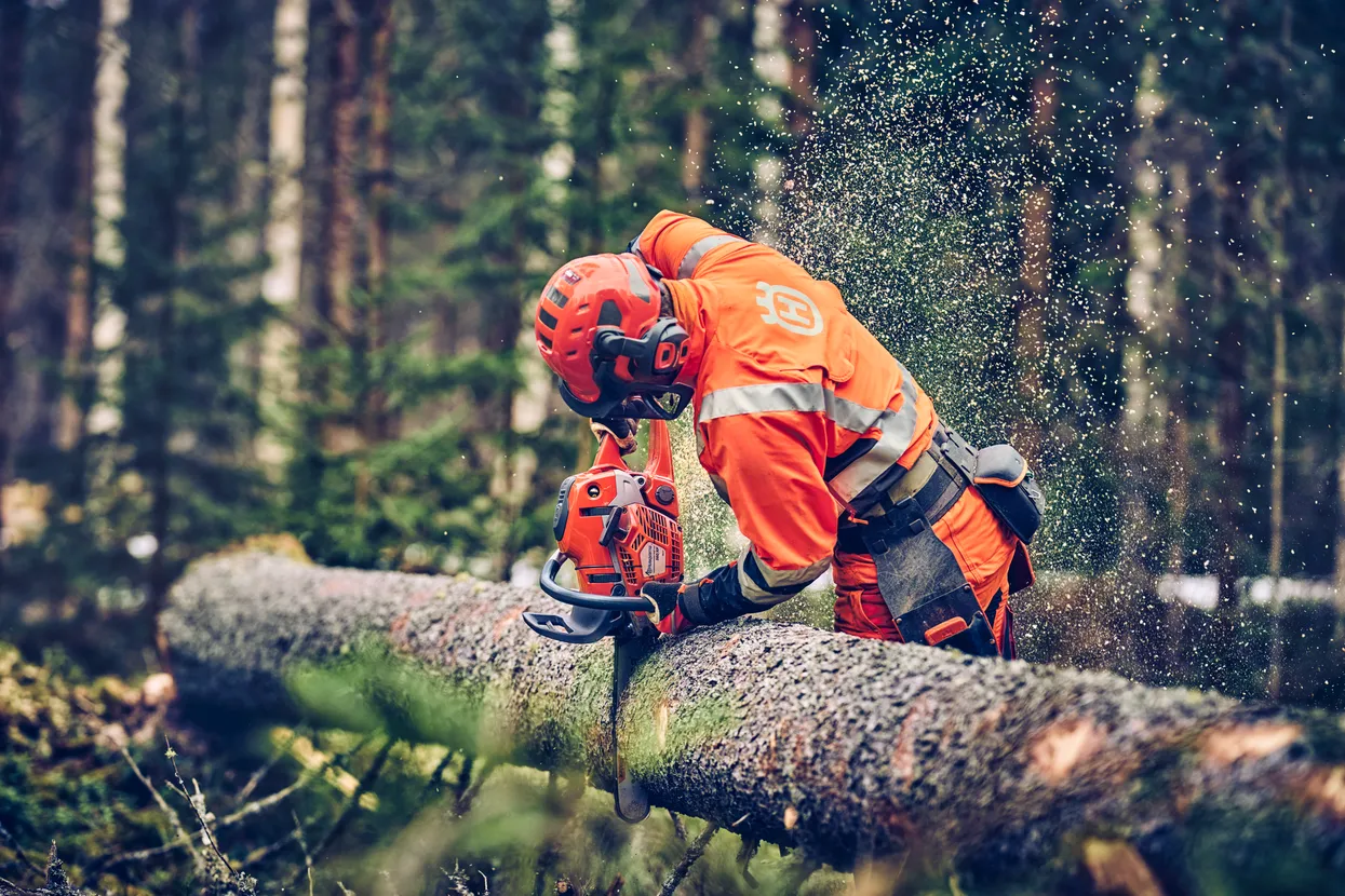 Husqvarna 560 XP® Mark II