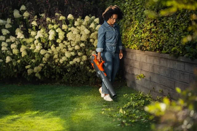 A person walking using a leaf blower on a grassy lawn, surrounded by lush greenery and flowering bushes.