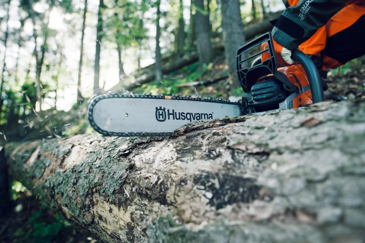O persoană care folosește o drujbă Husqvarna pentru a tăia un copac căzut într-o pădure.