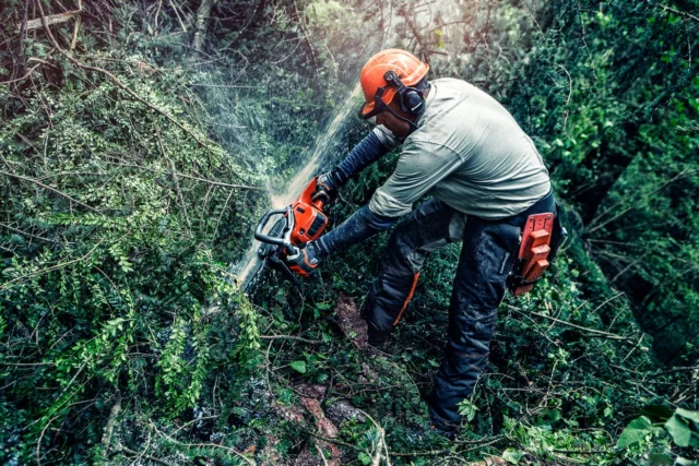 O persoană care folosește o drujbă pentru a tăia vegetația densă într-un cadru forestier.