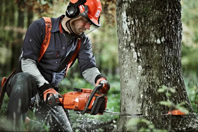 O persoană care folosește un ferăstrău cu lanț pentru a tăia un copac într-un cadru forestier.