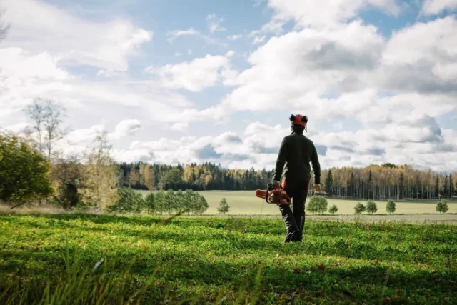 O persoană care merge pe un câmp cu iarbă cu o drujbă, cu o pădure în fundal.