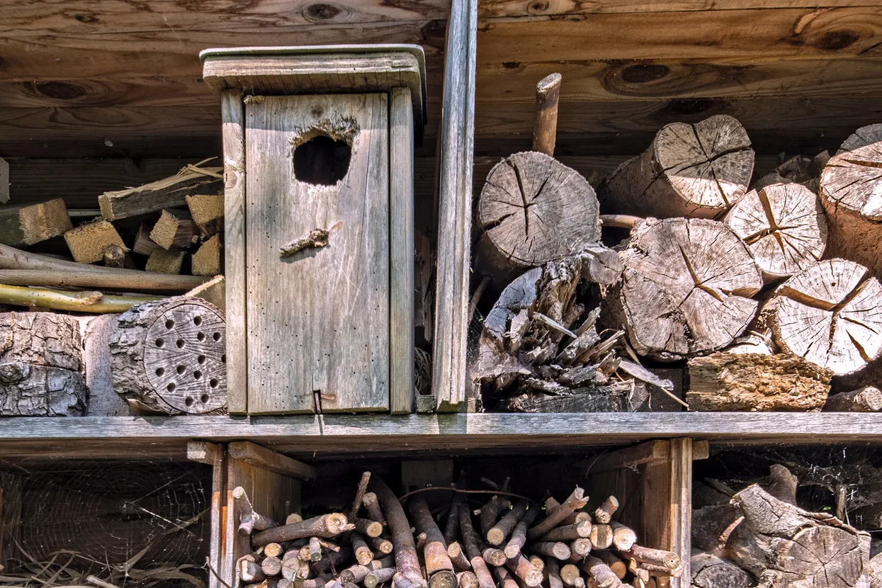 O varietate de materiale naturale, inclusiv bușteni tăiați, bețe de bambus și o căsuță pentru păsări stivuite în compartimente de lemn.