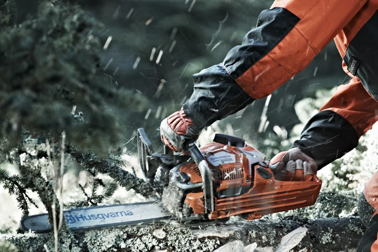 O persoană care folosește un ferăstrău cu lanț Husqvarna pentru a tăia o creangă de copac în aer liber.