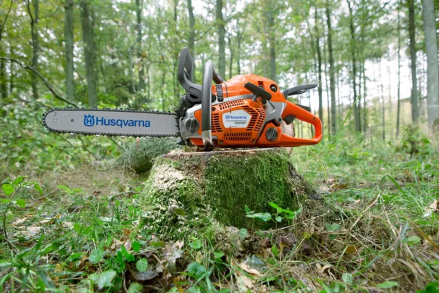 Ferăstrăul cu lanț Husqvarna sprijinit pe un butuc de copac acoperit de mușchi într-un cadru de pădure.