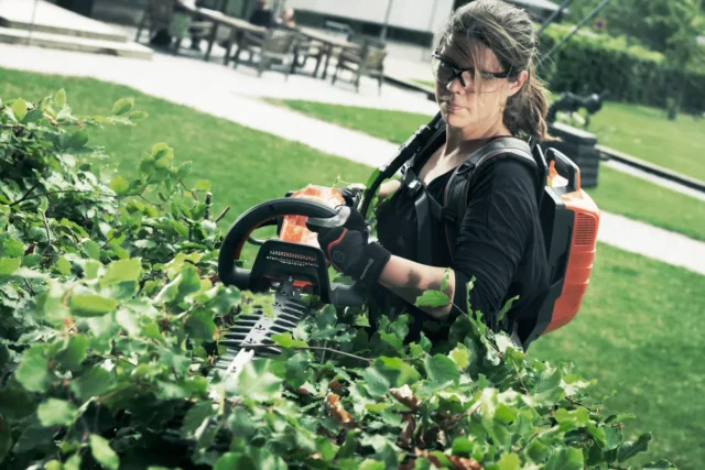 O persoană care folosește un tuns gard viu pentru a tăia tufișurile într-un parc.