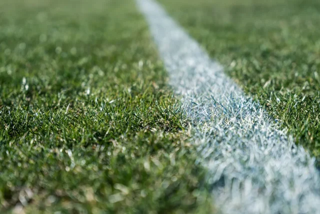 Vedere de aproape a unei linii albe pe un teren de sport cu iarbă.