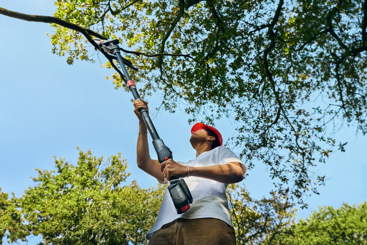 Arbore telescopic